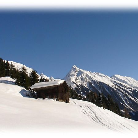 Ferienwohnungen Kröll - Appartements Viktoria und Landhaus Maria Mayrhofen Exterior foto