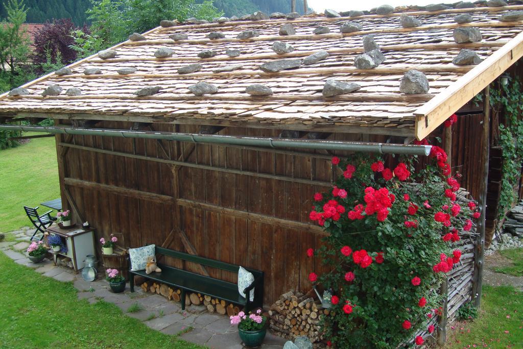 Ferienwohnungen Kröll - Appartements Viktoria und Landhaus Maria Mayrhofen Exterior foto