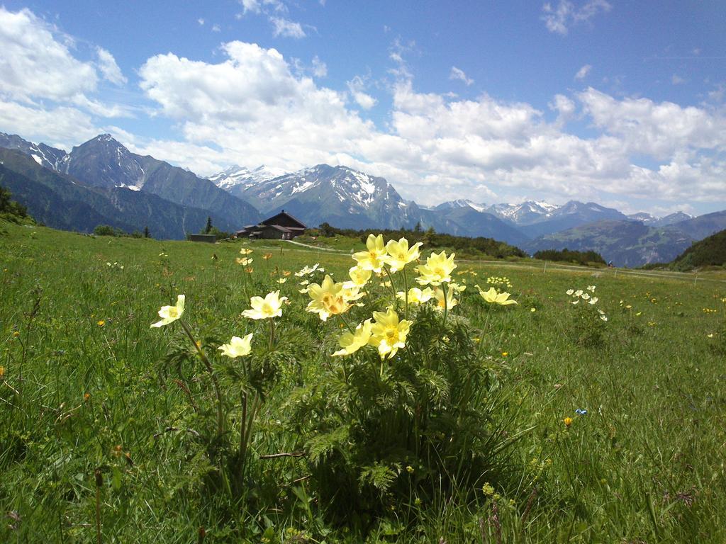 Ferienwohnungen Kröll - Appartements Viktoria und Landhaus Maria Mayrhofen Exterior foto