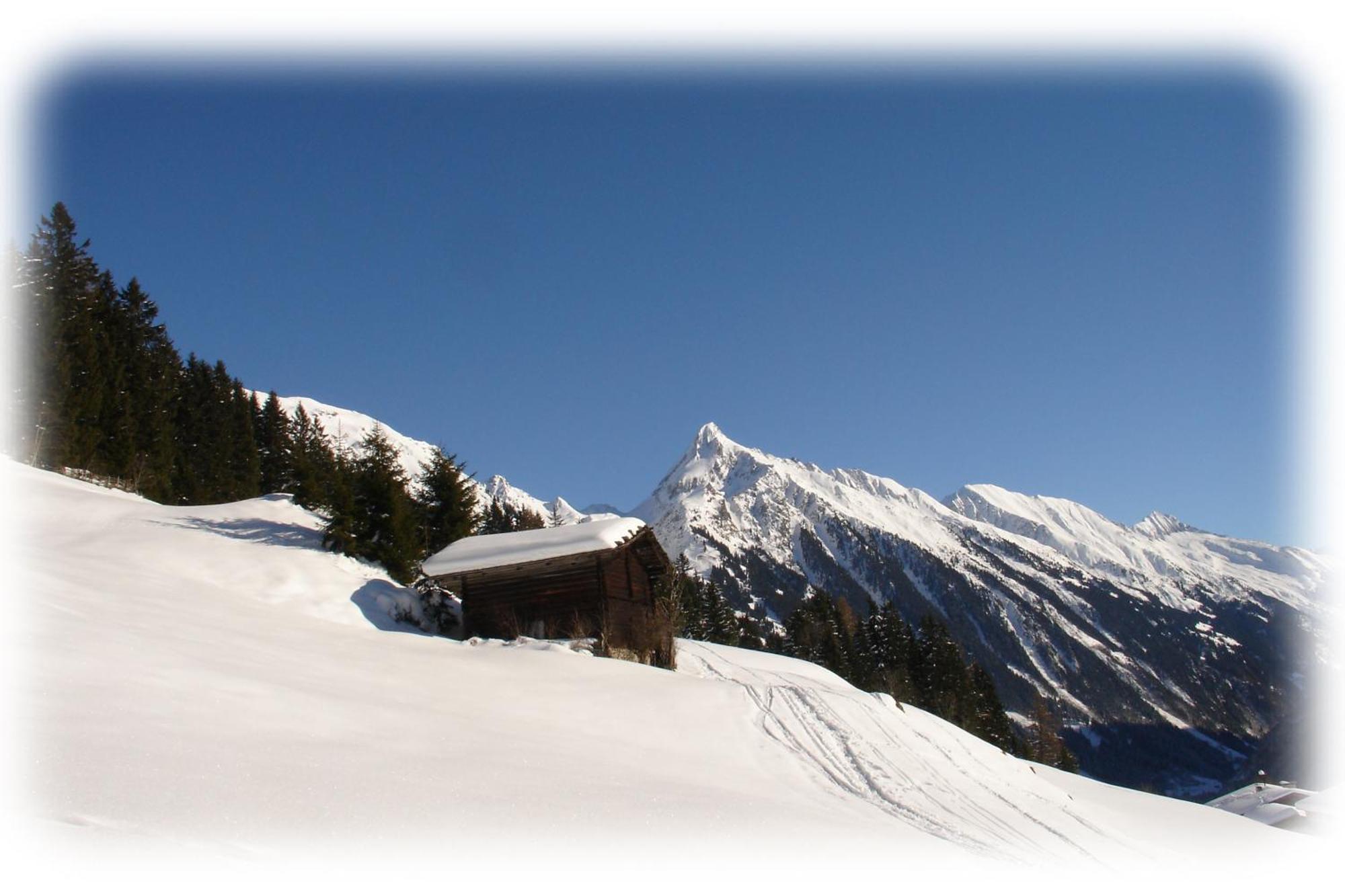Ferienwohnungen Kröll - Appartements Viktoria und Landhaus Maria Mayrhofen Exterior foto